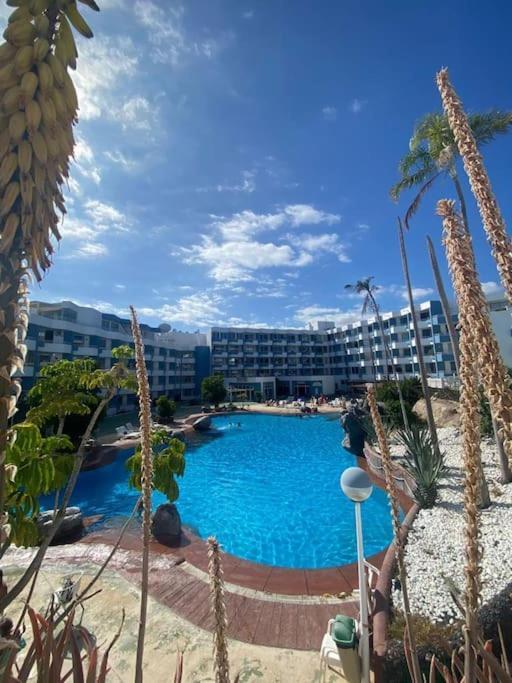 Apartament Golf Del Sur *